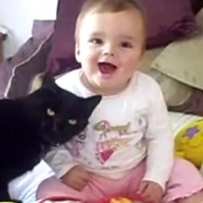 Heartwarming Video of Cats and Babies Cuddling