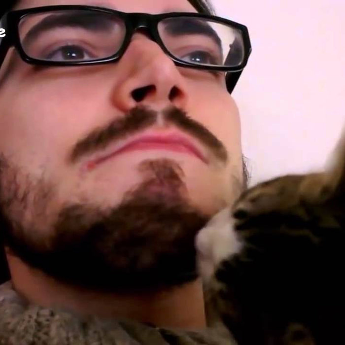 Cute Video:  Cats Who Love Their Dads’ Beards