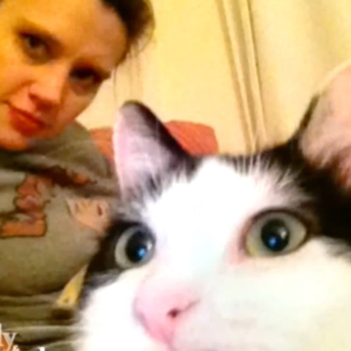 Kate McKinnon Really Loves Her Cat Nino!
