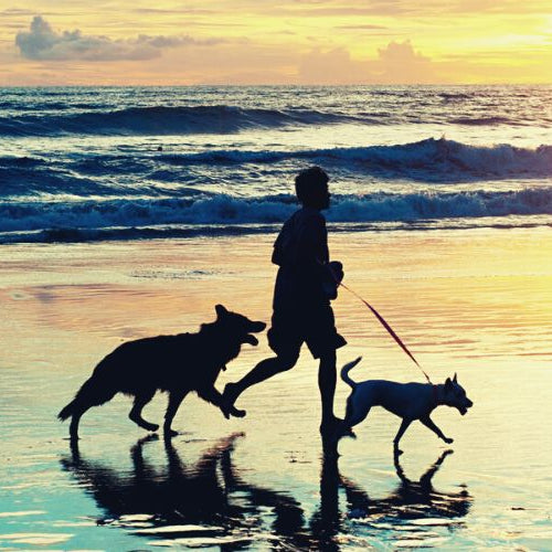 Man running with two dogs on seashore