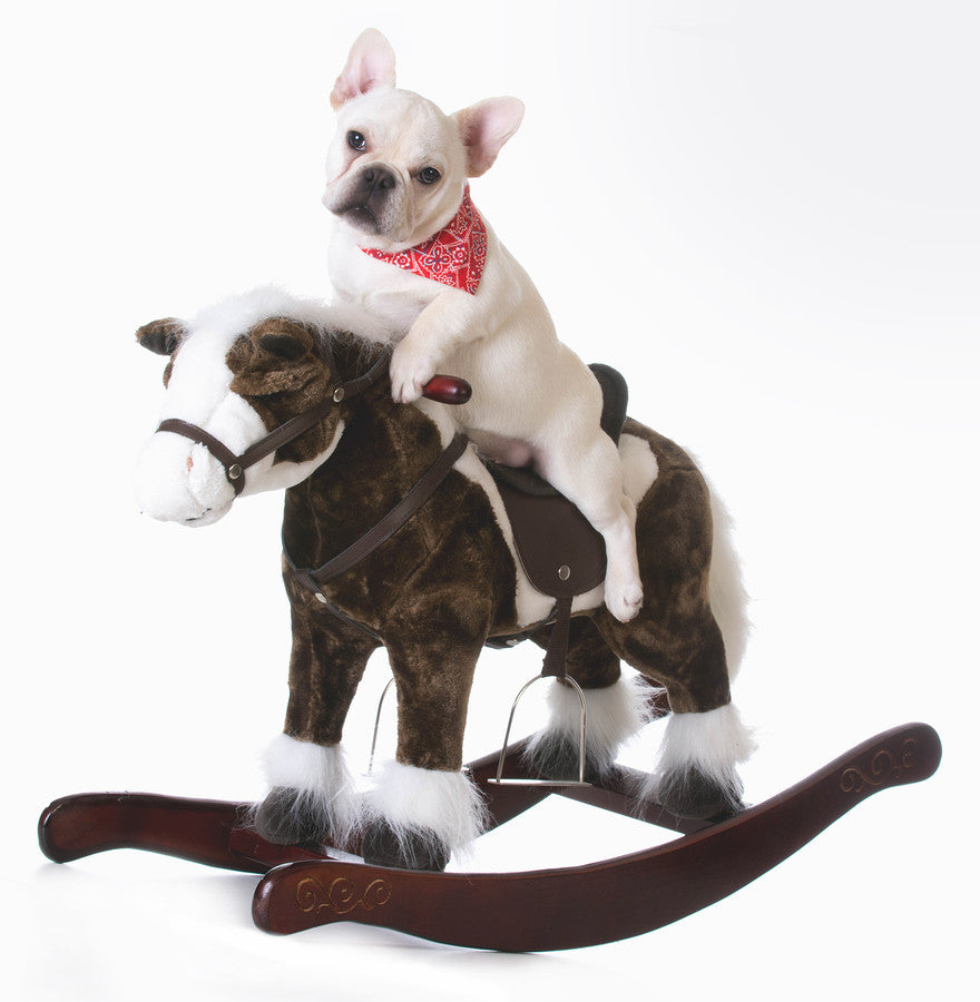 dog on rocking horse