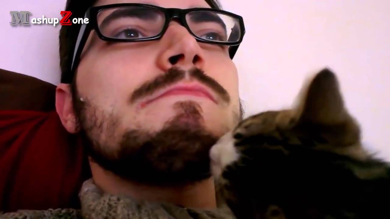 Cute Video:  Cats Who Love Their Dads’ Beards