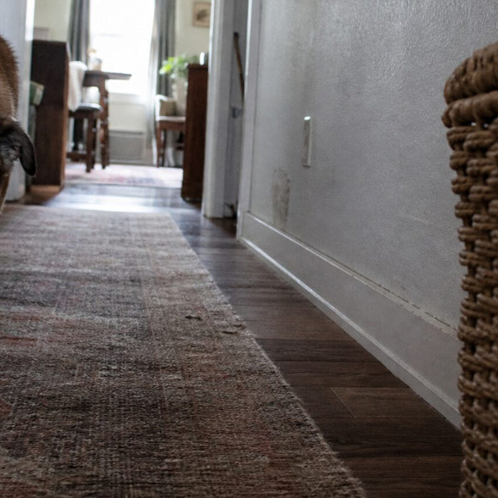 A dog walks one step behind the camera along a faded hallway runner.