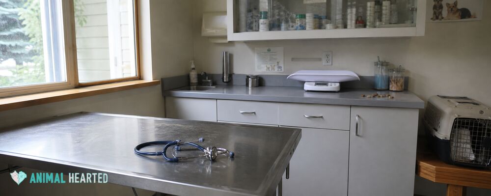 A veterinary exam room with a stainless steel exam table, a stethoscope, supply shelves, and a pet carrier