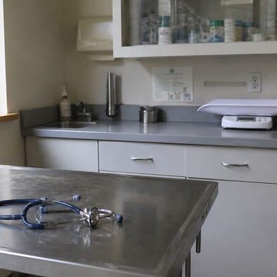 A veterinary exam room with a stainless steel exam table, a stethoscope, supply shelves, and a pet carrier