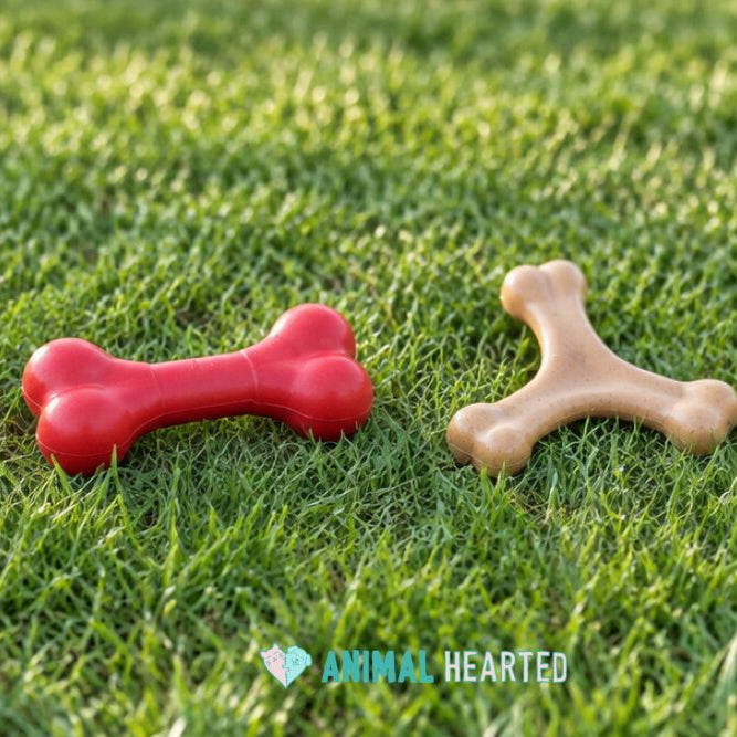 A red bone-shaped rubber chew and a tan wishbone-shaped chew lying on short green grass