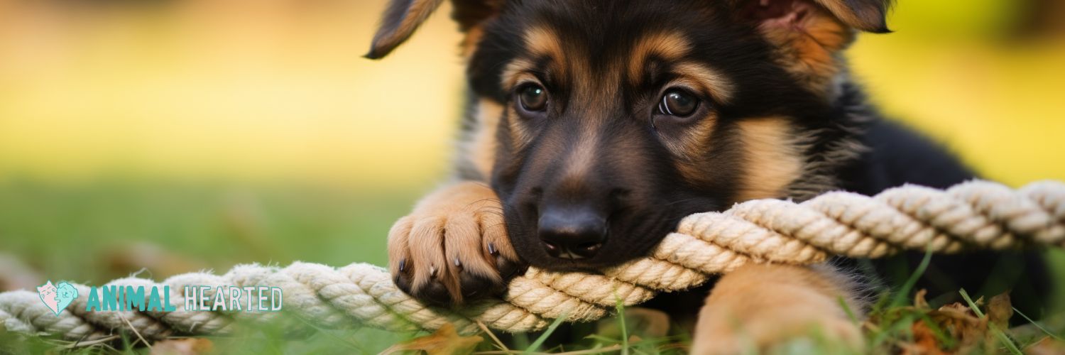 Chew Toys For German Shepherd Puppies