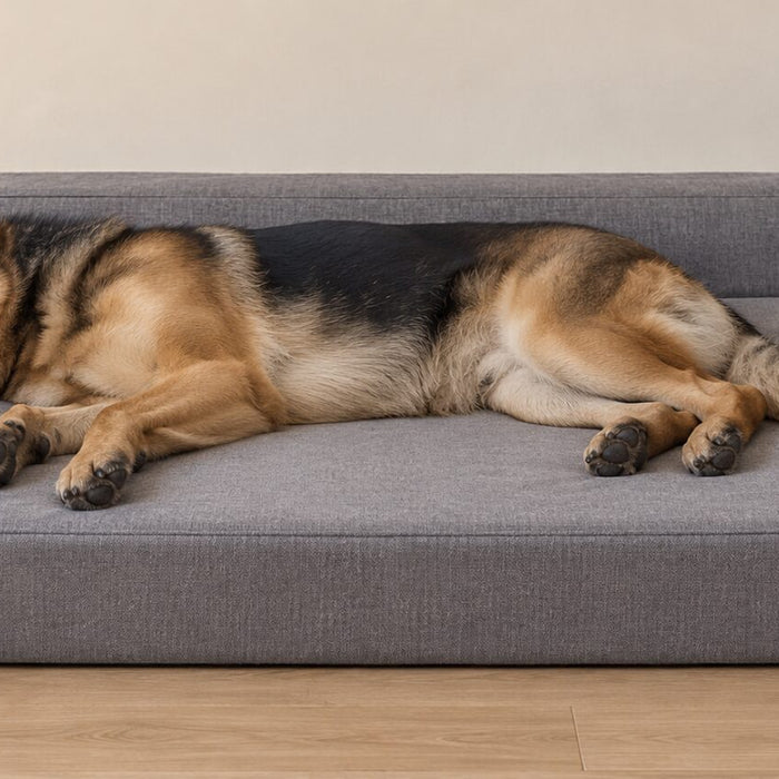 A German Shepherd asleep on its side on a large gray dog bed with a raised padded back and left side, on a light wood floor