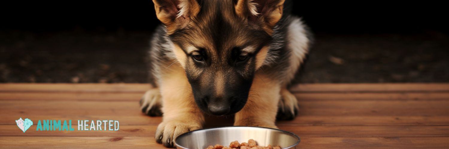 Best Food for German Shepherd Puppies Best Bet for a Healthy Diet