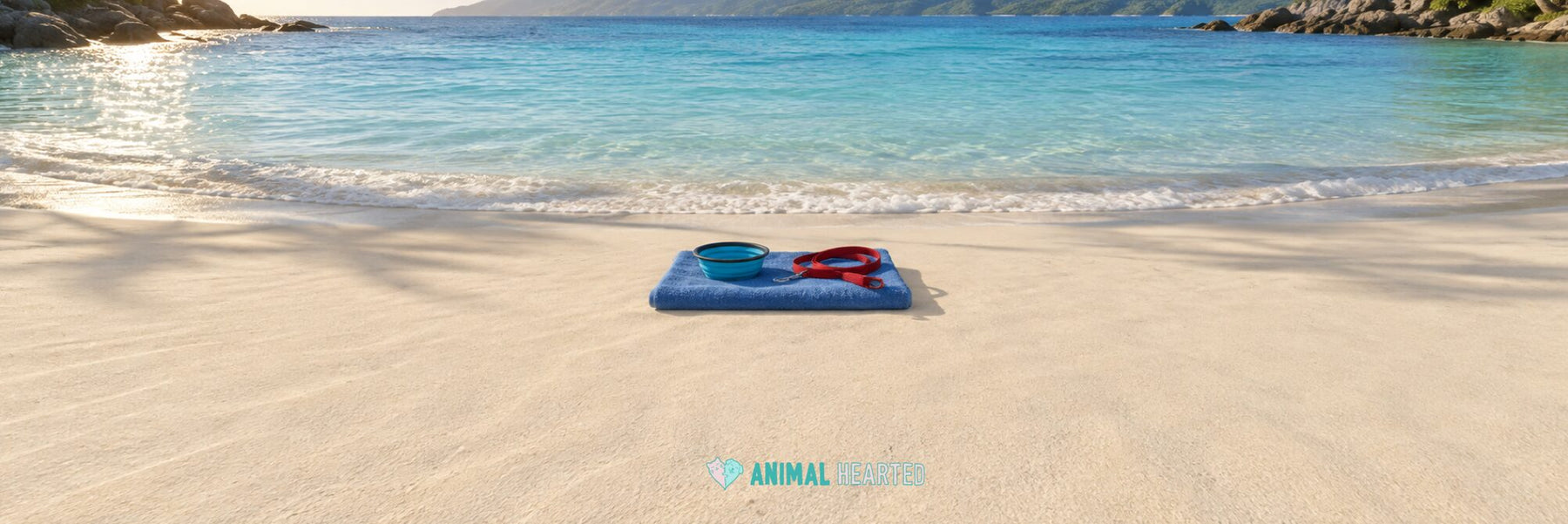An empty sandy beach beside clear blue water with a blue towel, a blue collapsible bowl, and a red leash on the sand