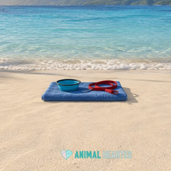 An empty sandy beach beside clear blue water with a blue towel, a blue collapsible bowl, and a red leash on the sand