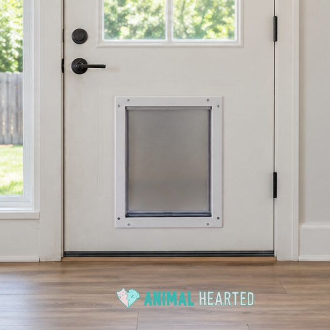 A white back door with a pet door set low in it, a window beside it showing a lawn, and an empty wood floor in front