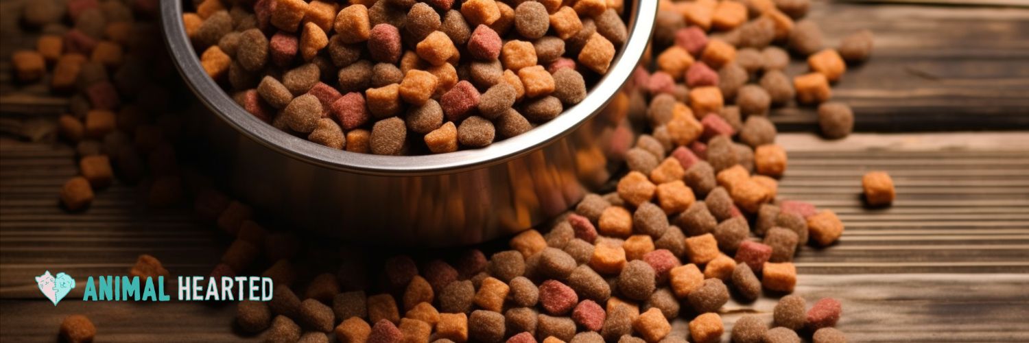 overflowing dog food bowl
