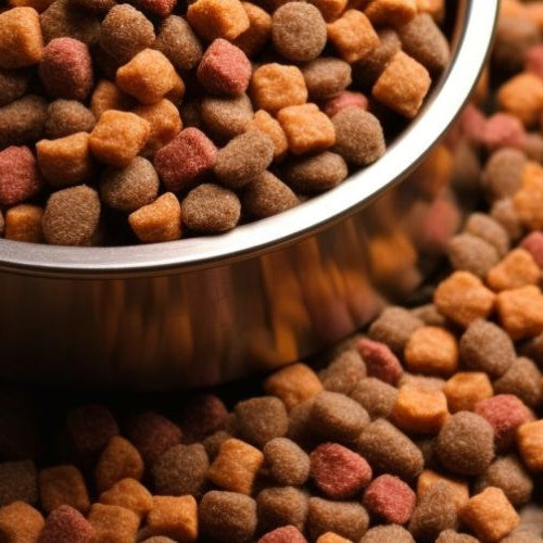 overflowing dog food bowl