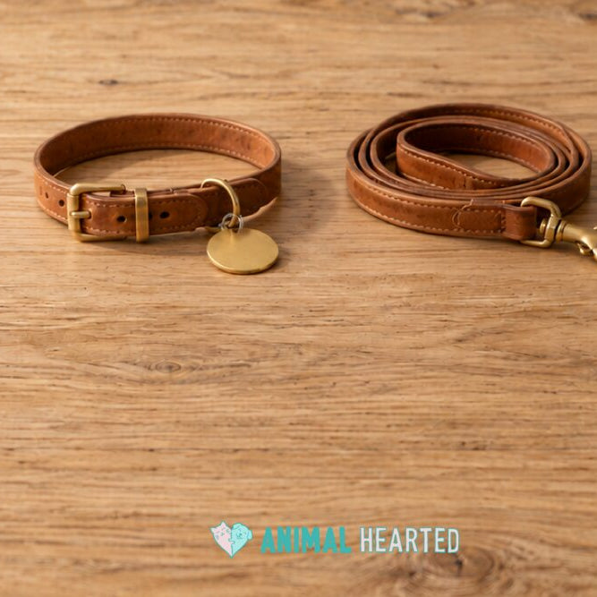 A tan leather dog collar with a plain round brass tag and a coiled leather leash lying on an oak table