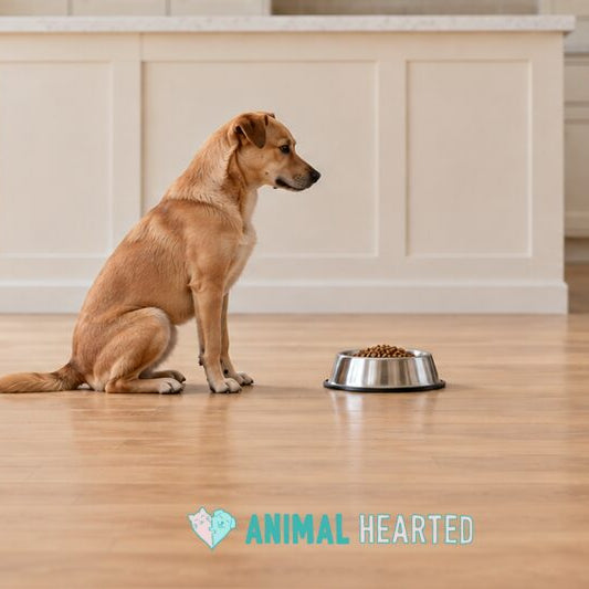A tan dog sitting on a wood kitchen floor beside a steel bowl of kibble