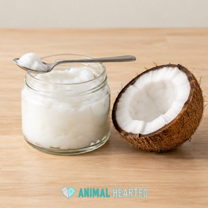 An open glass jar of white solid coconut oil with a spoon of oil resting across its rim, beside a halved coconut on a light wood counter