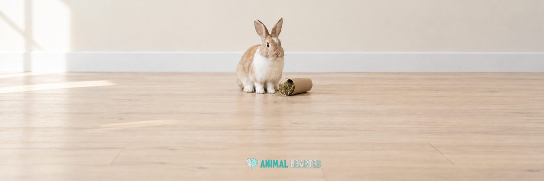 A tan and white rabbit sitting on a pale wooden floor next to a cardboard tube with hay coming out of one end