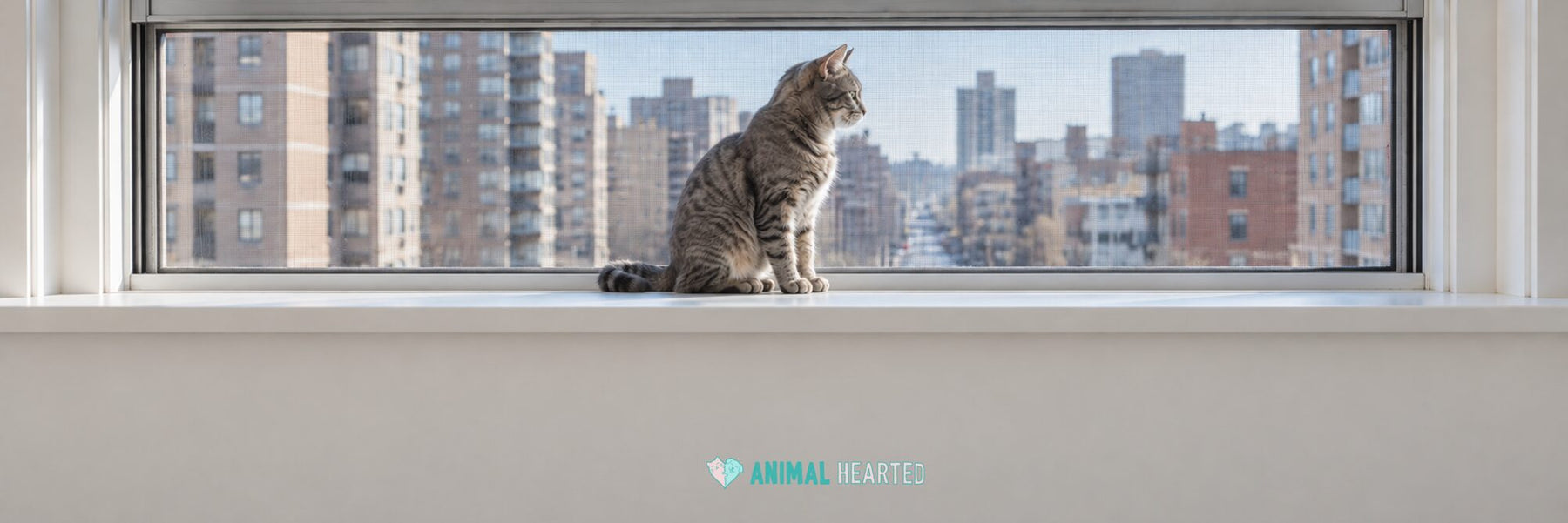 A grey tabby cat sitting on a white windowsill in front of a window fitted with a fine mesh screen, with apartment buildings beyond