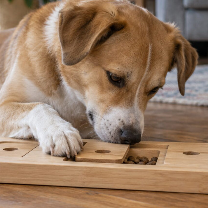 Tan and white dog lying on a wooden floor, nosing open a sliding lid on a wooden puzzle board to reach kibble
