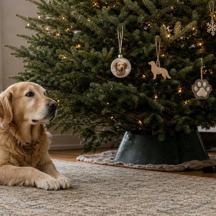 Golden retriever and tabby cat resting beside a Christmas tree decorated with personalized pet ornaments