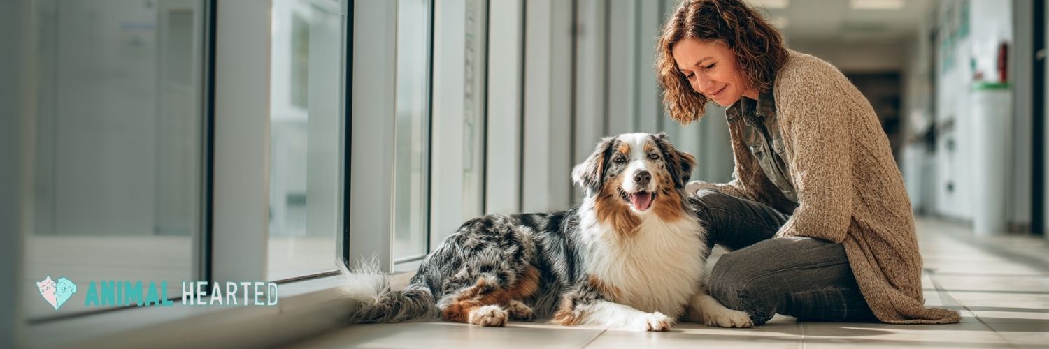 Woman taking her pet to the vet