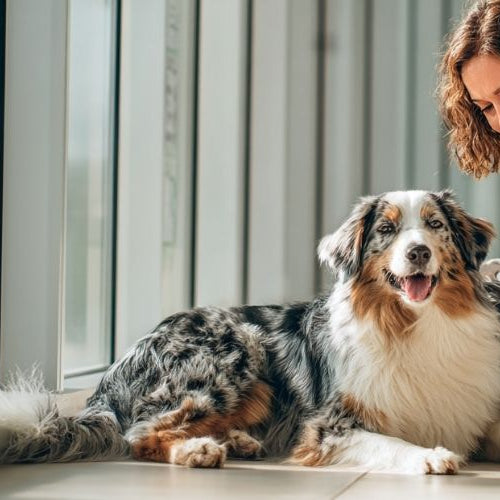Woman taking her pet to the vet