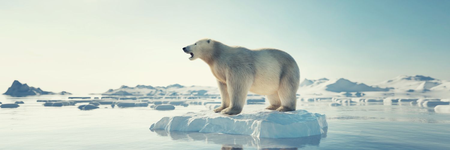 Polar bear on a chunk of Arctic ice