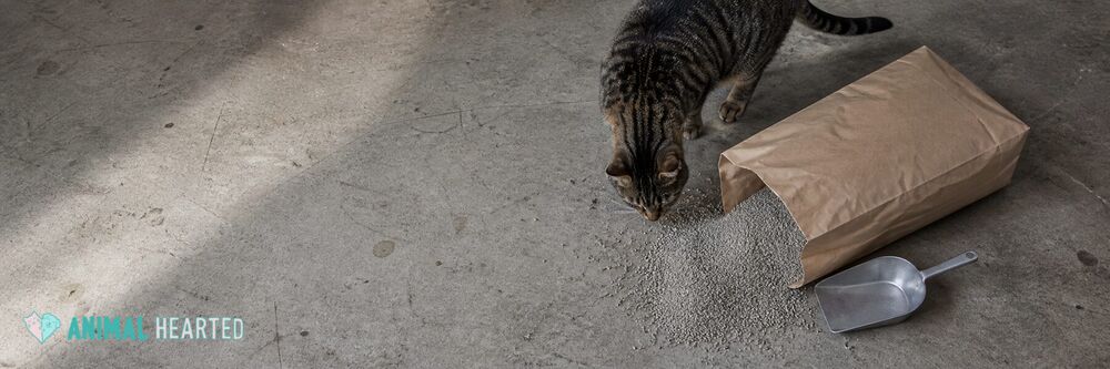 Open unbranded kraft bag of gray clumping cat litter with a metal scoop on a concrete floor
