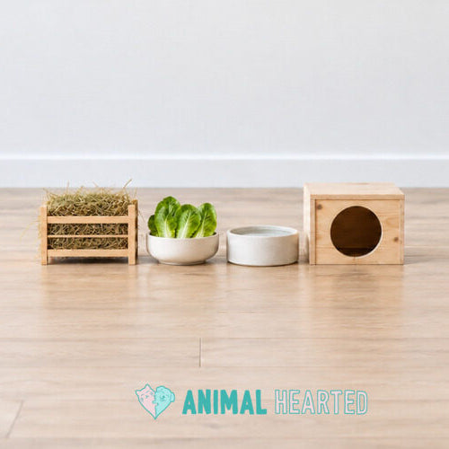 A wooden rack of hay, a bowl of romaine lettuce leaves, a white ceramic water bowl, and a small wooden hide house with a round doorway in a row on a pale wood floor
