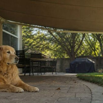 Golden retriever relaxing beneath a retractable patio awning in a sunny backyard