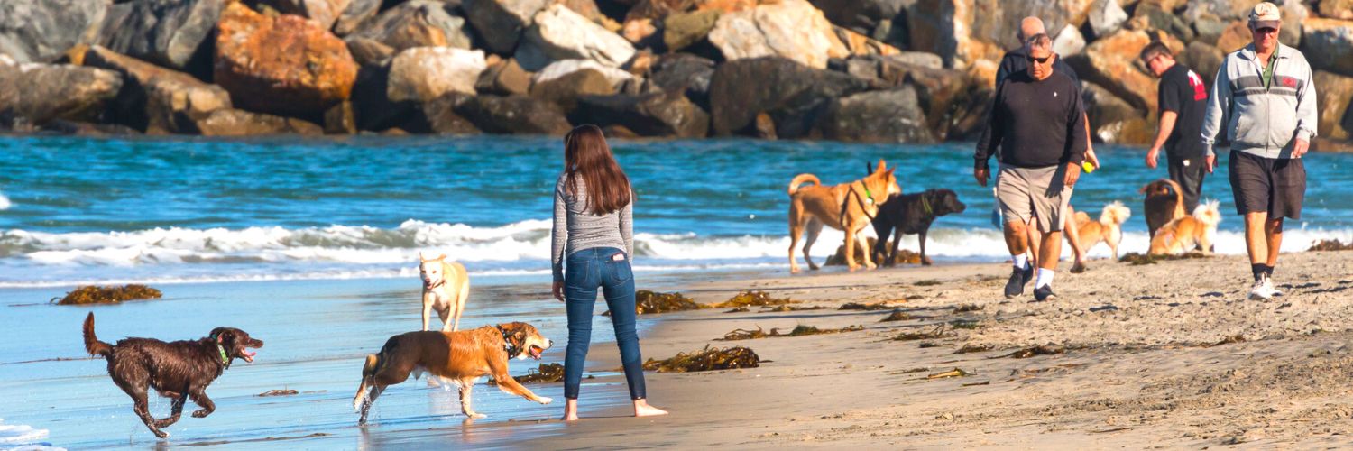 People and dogs walking in the Original Dog Beach in San Diego, California