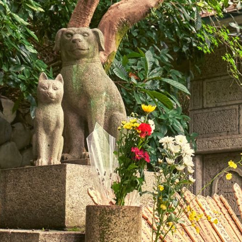 Pet urns for cats with statue memorials in a Japanese park