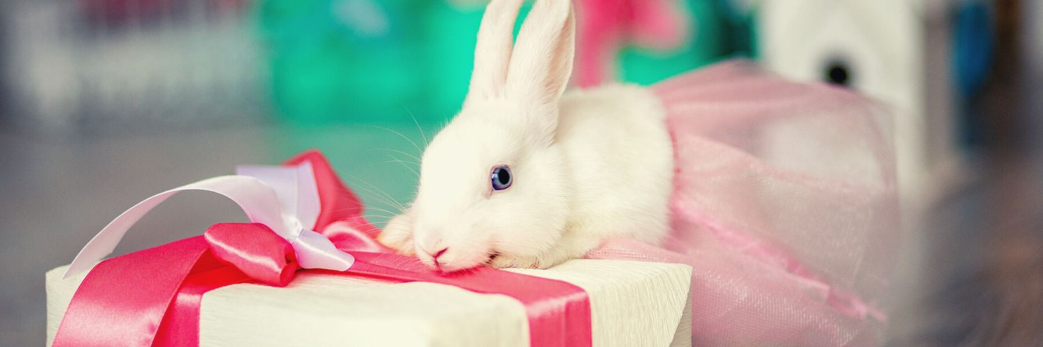 Cute Gift Ideas: 17 Special Bunny Gifts for Your Favorite Rabbit Lover ...